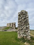 IMG_2317