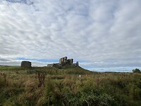 IMG_2319
