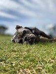 IMG_2337