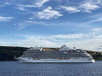IMG_2351