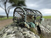 IMG_2371