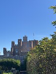 IMG_2536