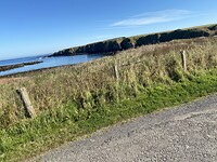 IMG_2544