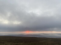 IMG_2584