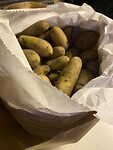 IMG_2592