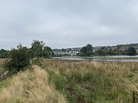 IMG_2704