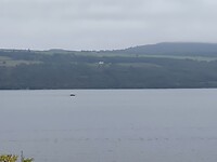 IMG_2716