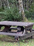 IMG_2945