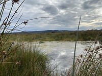 IMG_2957