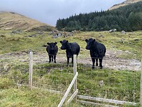 IMG_3069