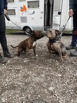 IMG_3088