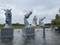 IMG_3198