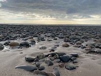 IMG_3294
