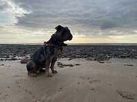 IMG_3296