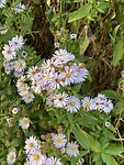 IMG_3300