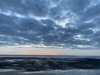 IMG_3301