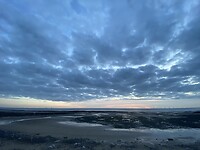 IMG_3304