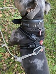 IMG_3310