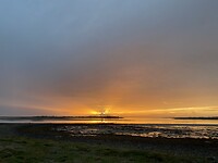 IMG_3501