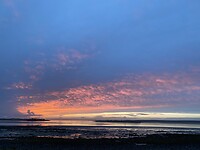IMG_3504