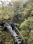 IMG_3530