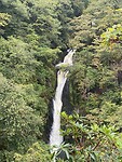 IMG_3526