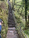 IMG_3528