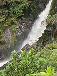 IMG_3531