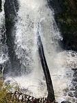 IMG_3543