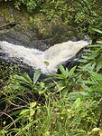 IMG_3539