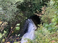 IMG_3546