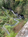 IMG_3549
