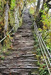 IMG_3551