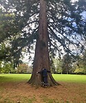 IMG_3646
