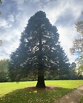 IMG_3651