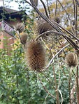 IMG_3677