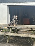 IMG_5831