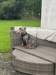 IMG_5834