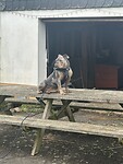 IMG_5832
