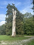 IMG_5974