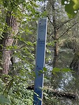 IMG_5977