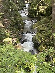IMG_5996