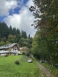 IMG_6013