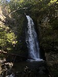 IMG_6035