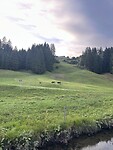 IMG_6073