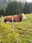 IMG_6181