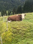 IMG_1416