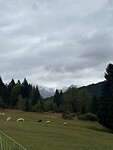 IMG_6183
