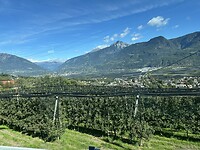 IMG_6232
