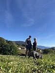 IMG_6240